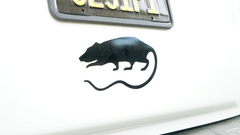 RAT Decals – Rat Sound Systems
